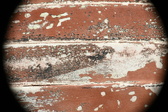 Enlarge photo 64