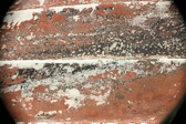 Enlarge photo 70