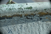 Enlarge photo 75