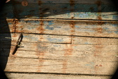 Enlarge photo 84