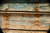 Enlarge photo 88