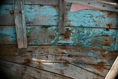 Enlarge photo 95