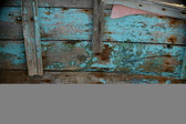 Enlarge photo 96