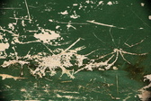 Enlarge photo 100