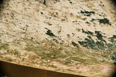 Enlarge photo 103
