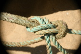 Enlarge photo 104
