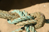 Enlarge photo 105