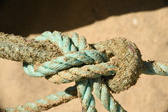 Enlarge photo 106