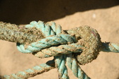Enlarge photo 107