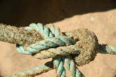 Enlarge photo 108