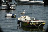 Enlarge photo 112
