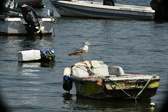Enlarge photo 114