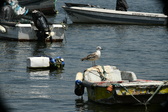 Enlarge photo 117