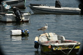 Enlarge photo 118