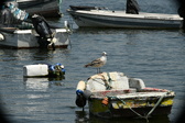 Enlarge photo 119
