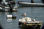 Enlarge photo 120