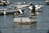Enlarge photo 122