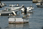Enlarge photo 123