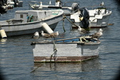 Enlarge photo 124