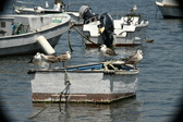 Enlarge photo 126