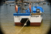 Enlarge photo 127