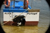 Enlarge photo 132