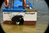 Enlarge photo 134