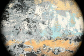 Enlarge photo 139