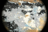 Enlarge photo 140