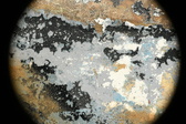 Enlarge photo 141