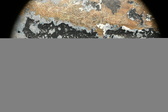 Enlarge photo 142