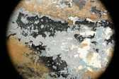 Enlarge photo 143