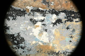 Enlarge photo 144