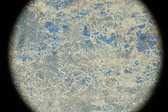 Enlarge photo 154