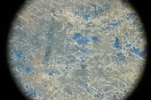 Enlarge photo 155