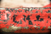 Enlarge photo 160