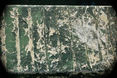 Enlarge photo 168