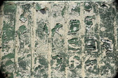 Enlarge photo 173