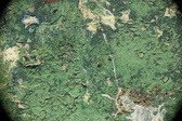 Enlarge photo 175