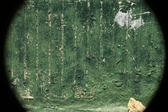 Enlarge photo 179