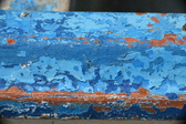Enlarge photo 181
