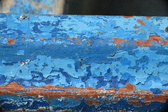 Enlarge photo 182