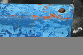 Enlarge photo 208