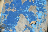 Enlarge photo 185