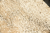Enlarge photo 190
