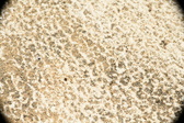 Enlarge photo 191