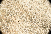 Enlarge photo 192