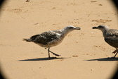 Enlarge photo 194