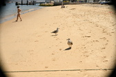 Enlarge photo 198