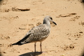 Enlarge photo 200